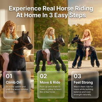 Mechanical riding horse Ponnie Ebony M