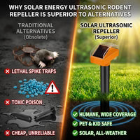 Key Differences